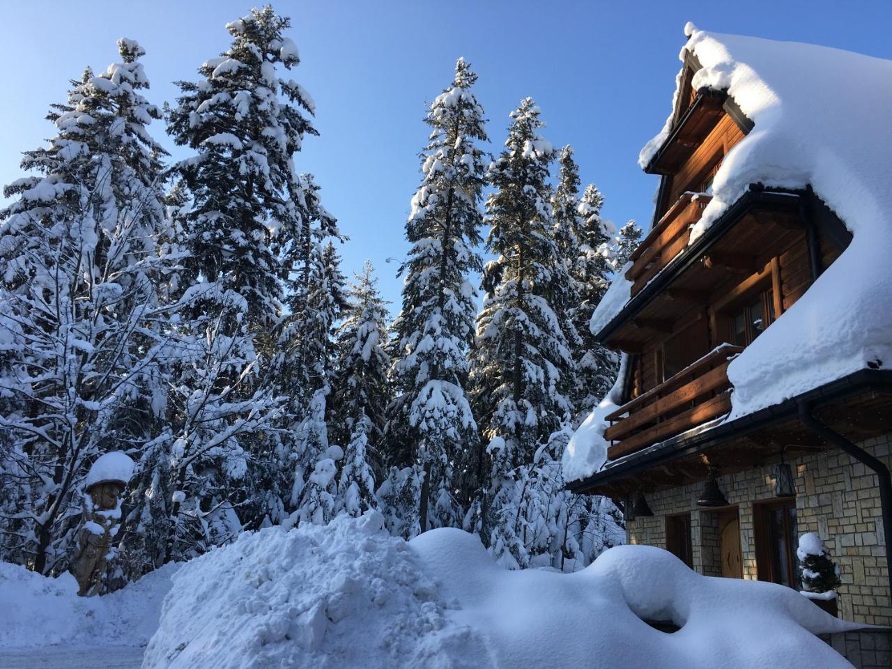 Hotel Dwór Karolówka Zakopane Exterior foto